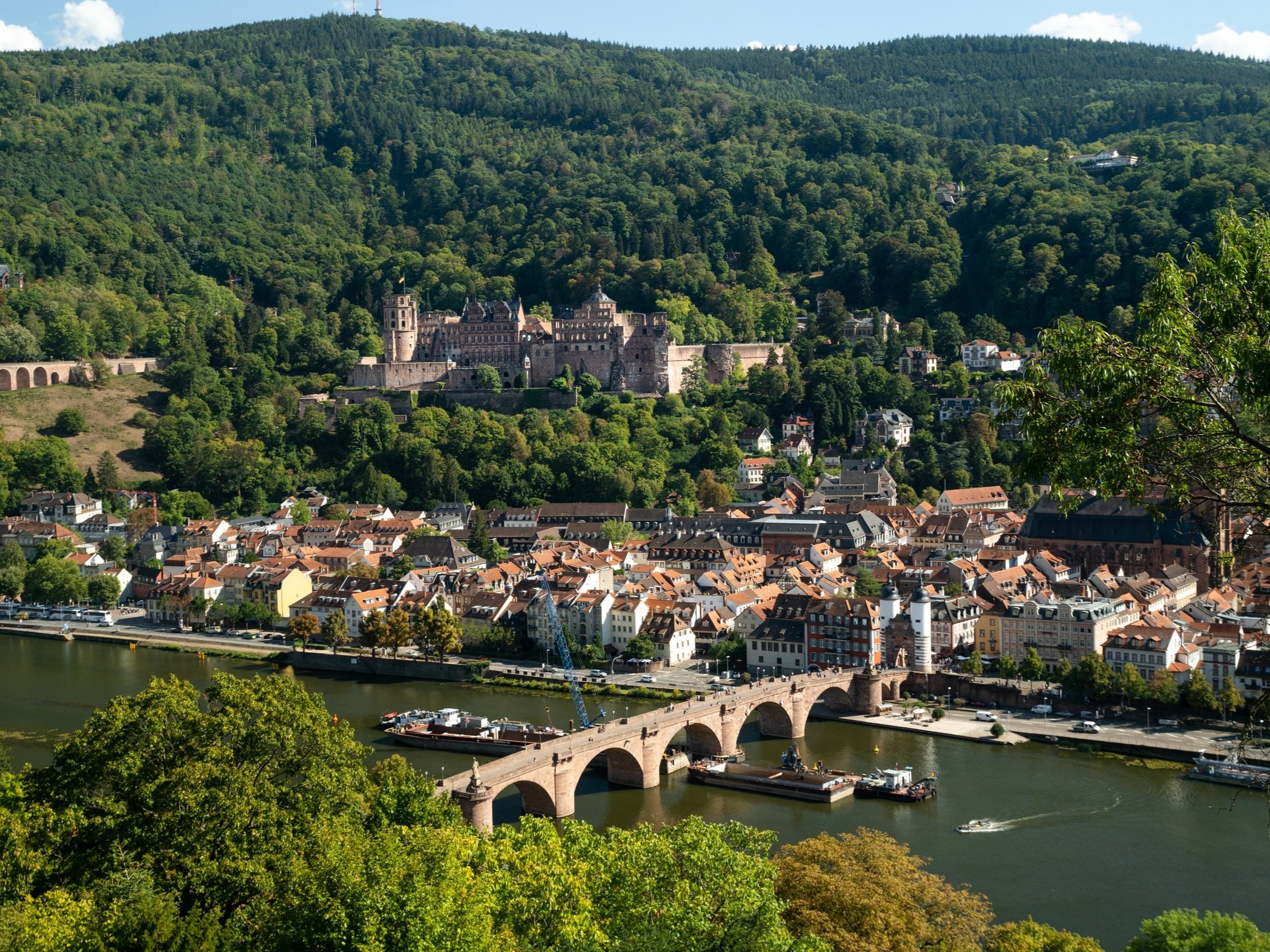 Philosophenweg Heidelberg: The Ultimate Viewing Point (Philosophers Way)